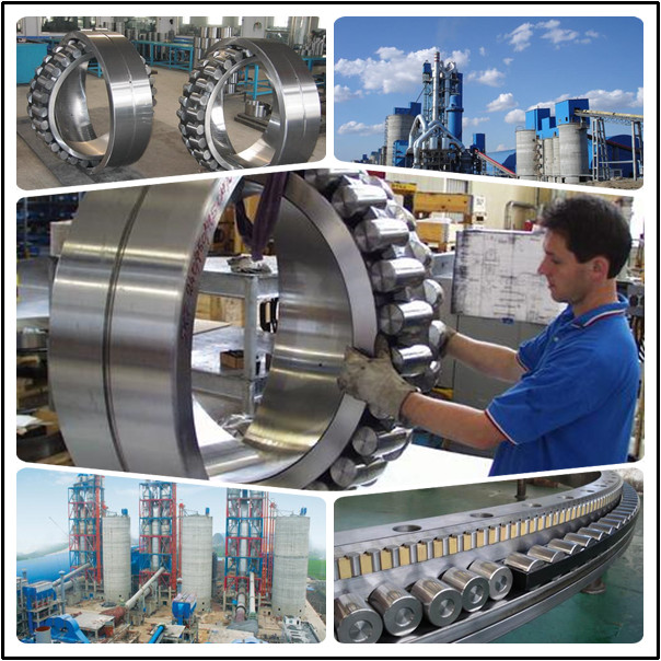 3003744Y Oil Drilling Equipment Bearing